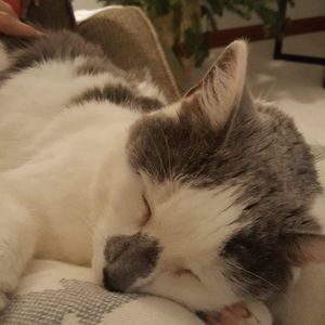 Meet your Posher, Cheryl